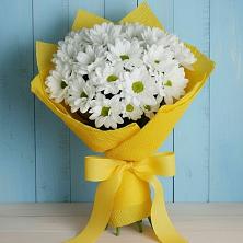 Букет цветов из:  Хризантемы в Радице-Крыловке