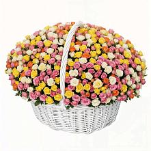 Премиум букет из: Розы в Радице-Крыловке