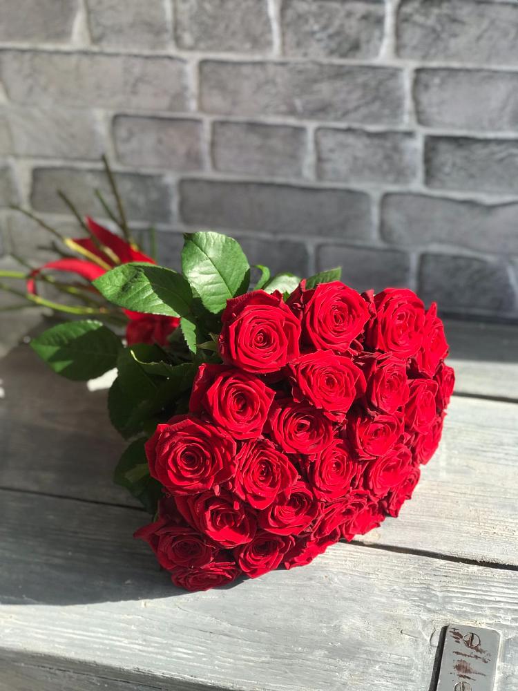 Букет Красные розы Фридом в Радице-Крыловке