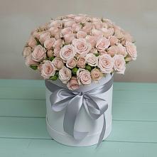 Цветочная композиция из Розы в шляпной коробке в Радице-Крыловке