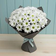 Букет цветов из:  Хризантемы в Радице-Крыловке
