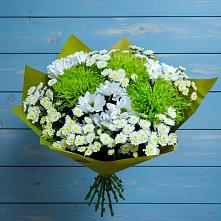 Букет цветов из:  Хризантемы #REPLACE_PRED# Радице-Крыловке