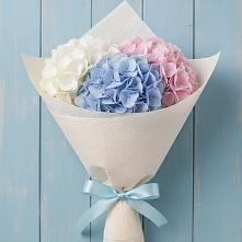 Букет цветов из:  Гортензия в Радице-Крыловке