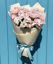 Букет цветов из:  Хризантемы #REPLACE_PRED# Радице-Крыловке