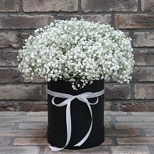 Цветочная композиция из Гипсофила в шляпной коробке в Радице-Крыловке