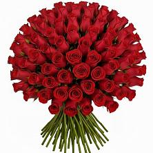 Букет Красные розы Чери Лав в Радице-Крыловке